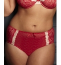 Shapely Figures Briefs