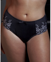 Shapely Figures Briefs