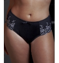 Shapely Figures Briefs