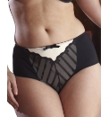 Shapely Figures Briefs