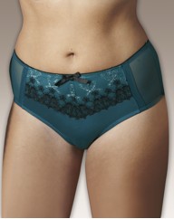 Shapely Figures Briefs