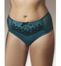 Shapely Figures Briefs