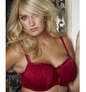 Shapely Figures Pack of 2 Bras