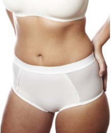 Shapely Figures Control Briefs