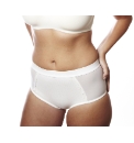 Shapely Figures Control Briefs