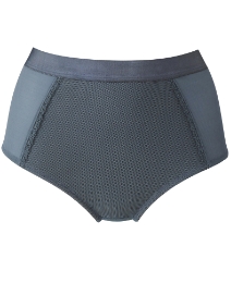 Shapely Figures Control Briefs