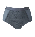 Shapely Figures Control Briefs