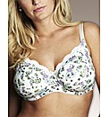Shapely Figures Black Print Sophie Bras