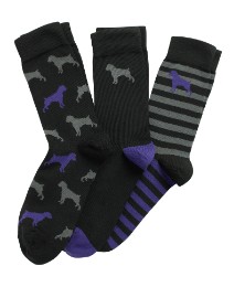 OneTrue Saxon Purple Pack of 3 Socks