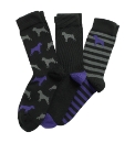 OneTrue Saxon Purple Pack of 3 Socks