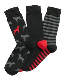 OneTrue Saxon Red Pack of 3 Socks