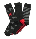 OneTrue Saxon Red Pack of 3 Socks