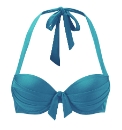 Panache Underwired Bikini Top