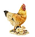 Hen and Chicks Figurine