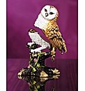Owl Treasured Trinkets