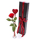 Romanic Red Rose & Lollipop Giftbox