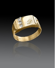 9ct Gold Diamond-Set Personalised Ring