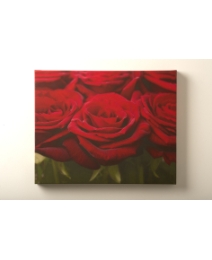 Red Rose Row Printed Canvas