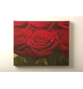 Red Rose Row Printed Canvas