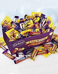 Cadburys Treatsize