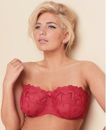 Worlds Biggest Strapless Bra