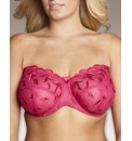 Worlds Biggest Strapless Bra