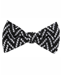High & Mighty Silk Fancy Bow Tie