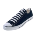 Converse All Star Low Canvas Trainer
