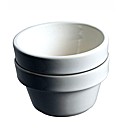 Raymond Blanc Set of Two Ramekins