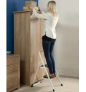 2 Step Ladder