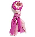 Ombre Scarf