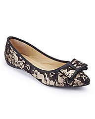 Lace Pointed Shoe D