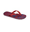 DC Shoes Graffic Print Flip Flop