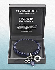Charmology Gemstone Bracelet
