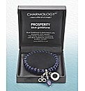 Charmology Gemstone Bracelet