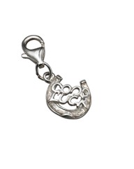 Sterling Silver Good Luck Charm