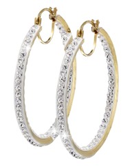 Evoke 9 Carat Gold Clear Hoop Earrings