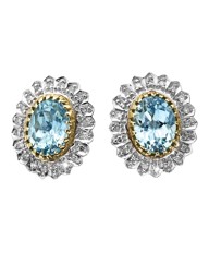 9 Carat Gold Blue Topaz Earrings