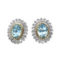 9 Carat Gold Blue Topaz Earrings