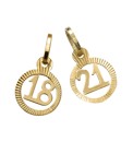 9 Carat Gold Special Age Charm
