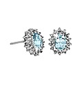 Sterling Silver & Blue Topaz Earrings