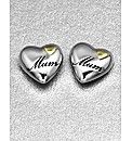 Sterling Silver Heart Shaped Earrings