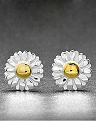 Sterling Silver Daisy Earrings