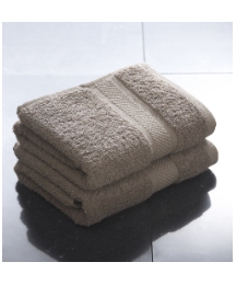 Premier Collection Egyptian Hand Towels