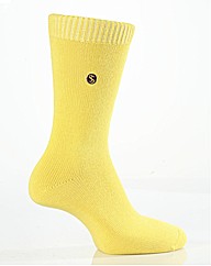 COLOUR BUST SOCKS