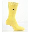 COLOUR BUST SOCKS