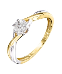 9 Carat White & Yellow Gold Ring
