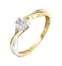 9 Carat White & Yellow Gold Ring