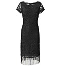 Joanna Hope Petite Fringe Lace Dress