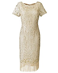 Joanna Hope Petite Fringe Lace Dress